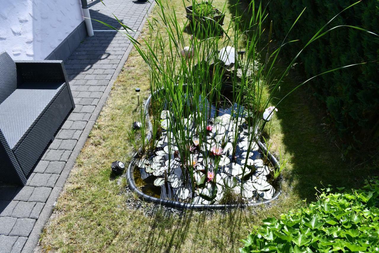 Ferienwohnung Bellerbergblick Ettringen  Dış mekan fotoğraf
